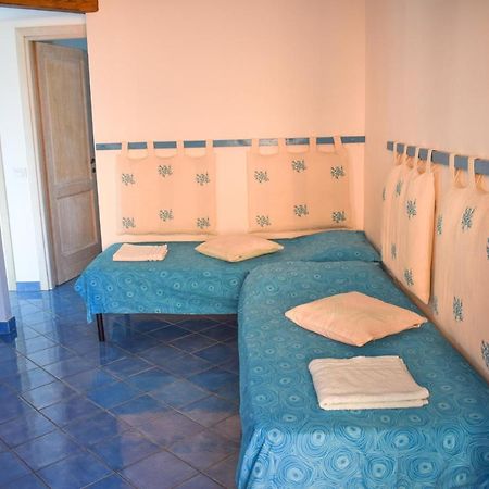 Tiffany Palau Bed & Breakfast Bagian luar foto