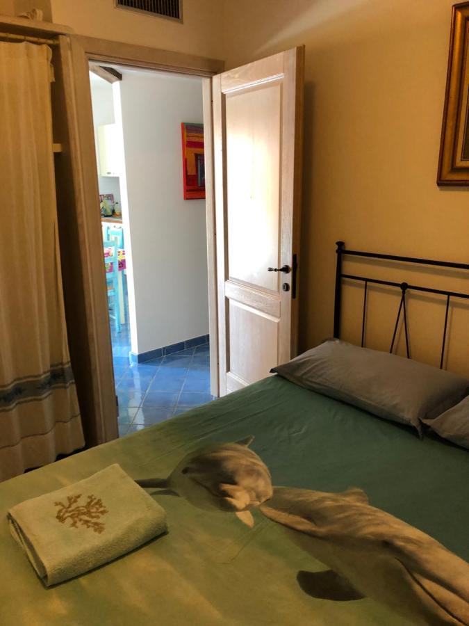 Tiffany Palau Bed & Breakfast Bagian luar foto